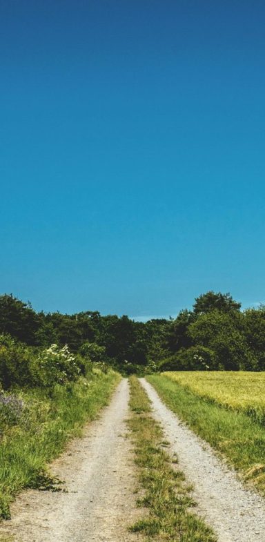Achtsamkeit auf einer Wanderung erfahren Schotterweg zwischen grünen Feldern unter klarem, blauem Himmel.